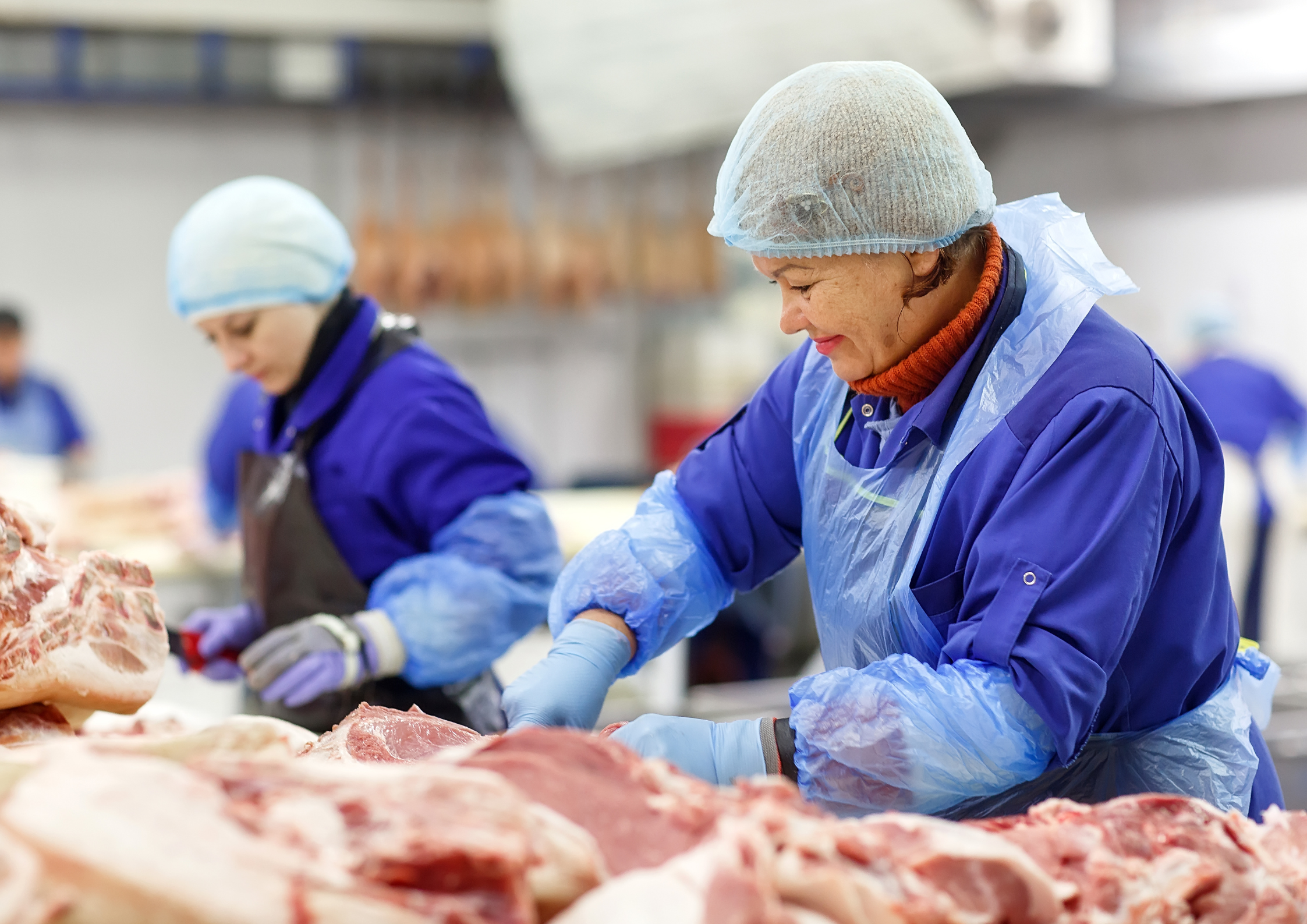 7903020374839a9354670ae1a0473448899b01e2-1