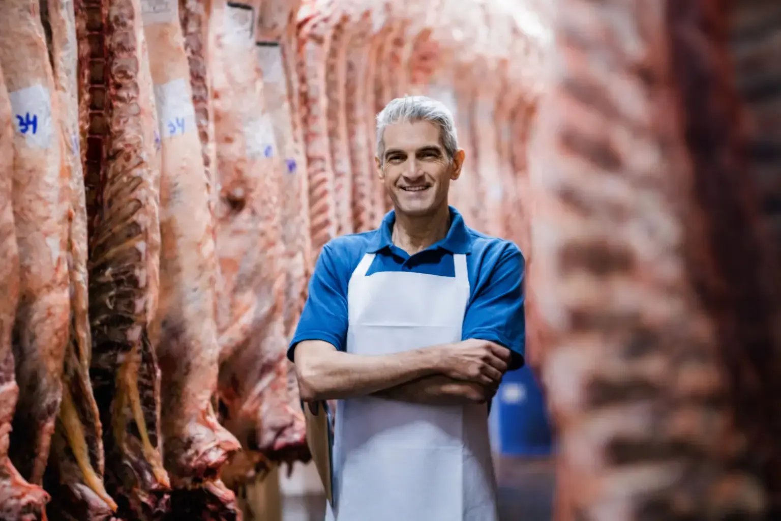 fobis-rbk-group-small-03